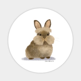 Lionhead Rabbit Magnet